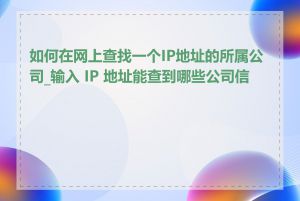 如何在网上查找一个IP地址的所属公司_输入 IP 地址能查到哪些公司信息