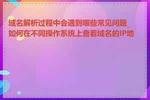 域名解析过程中会遇到哪些常见问题_如何在不同操作系统上查看域名的IP地址