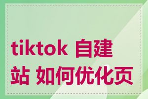 tiktok 自建站 如何优化页面