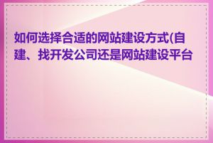 如何选择合适的网站建设方式(自建、找开发公司还是网站建设平台)