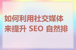 如何利用社交媒体来提升 SEO 自然排名