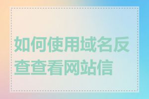 如何使用域名反查查看网站信息