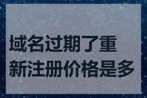 域名过期了重新注册价格是多少