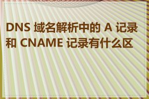 DNS 域名解析中的 A 记录和 CNAME 记录有什么区别