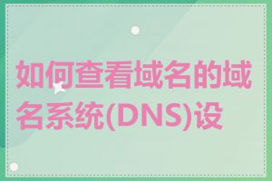 如何查看域名的域名系统(DNS)设置