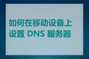 如何在移动设备上设置 DNS 服务器 P