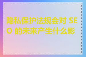 隐私保护法规会对 SEO 的未来产生什么影响