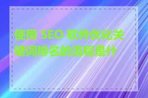 使用 SEO 软件优化关键词排名的流程是什么