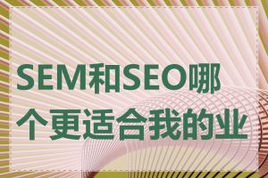 SEM和SEO哪个更适合我的业务