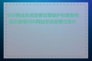 SEO网站系统需要定期维护和更新吗_初次使用SEO网站系统需要注意什么