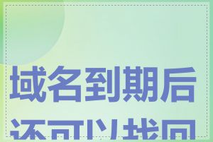 域名到期后还可以找回吗