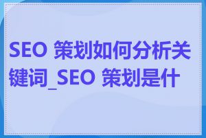 SEO 策划如何分析关键词_SEO 策划是什么