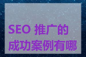 SEO 推广的成功案例有哪些