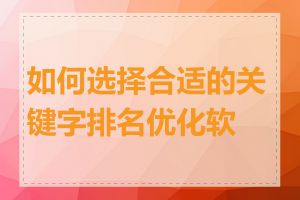 如何选择合适的关键字排名优化软件