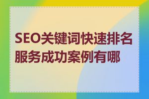 SEO关键词快速排名服务成功案例有哪些