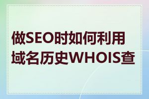 做SEO时如何利用域名历史WHOIS查询