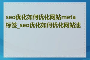 seo优化如何优化网站meta标签_seo优化如何优化网站速度