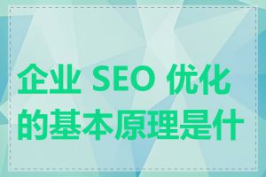 企业 SEO 优化的基本原理是什么