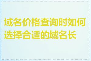 域名价格查询时如何选择合适的域名长度