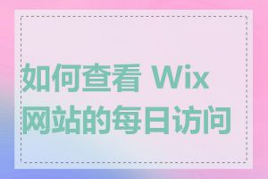 如何查看 Wix 网站的每日访问量