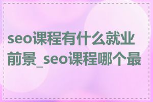 seo课程有什么就业前景_seo课程哪个最好