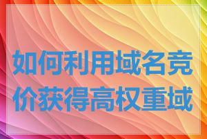 如何利用域名竞价获得高权重域名