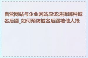 自营网站与企业网站应该选择哪种域名后缀_如何预防域名后缀被他人抢注