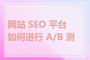 网站 SEO 平台如何进行 A/B 测试