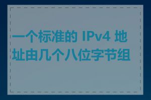 一个标准的 IPv4 地址由几个八位字节组成