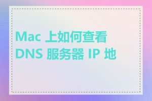 Mac 上如何查看 DNS 服务器 IP 地址