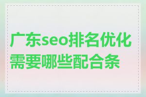 广东seo排名优化需要哪些配合条件