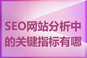 SEO网站分析中的关键指标有哪些