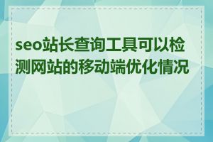 seo站长查询工具可以检测网站的移动端优化情况吗