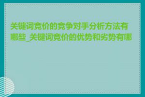 关键词竞价的竞争对手分析方法有哪些_关键词竞价的优势和劣势有哪些