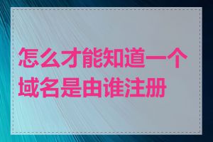 怎么才能知道一个域名是由谁注册的