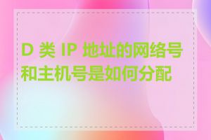 D 类 IP 地址的网络号和主机号是如何分配的