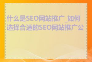 什么是SEO网站推广_如何选择合适的SEO网站推广公司