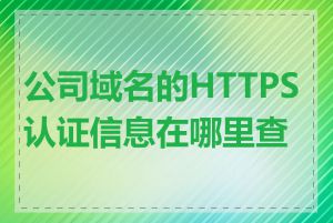 公司域名的HTTPS认证信息在哪里查看