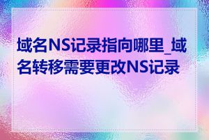 域名NS记录指向哪里_域名转移需要更改NS记录吗