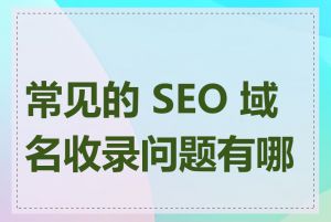 常见的 SEO 域名收录问题有哪些