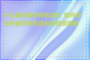 什么是关键字排名竞价_如何评估关键字排名竞价的投资回报率