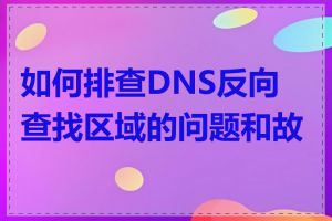 如何排查DNS反向查找区域的问题和故障