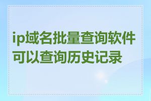 ip域名批量查询软件可以查询历史记录吗