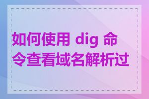 如何使用 dig 命令查看域名解析过程