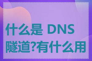 什么是 DNS 隧道?有什么用途