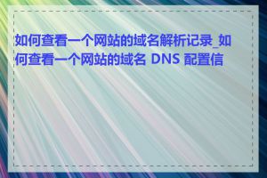 如何查看一个网站的域名解析记录_如何查看一个网站的域名 DNS 配置信息