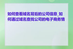 如何查看域名背后的公司信息_如何通过域名查找公司的电子商务情况