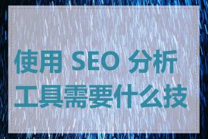 使用 SEO 分析工具需要什么技能