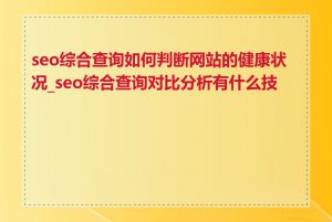 seo综合查询如何判断网站的健康状况_seo综合查询对比分析有什么技巧