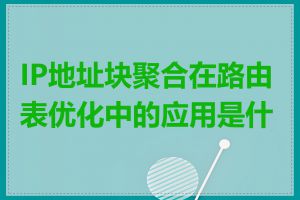 IP地址块聚合在路由表优化中的应用是什么